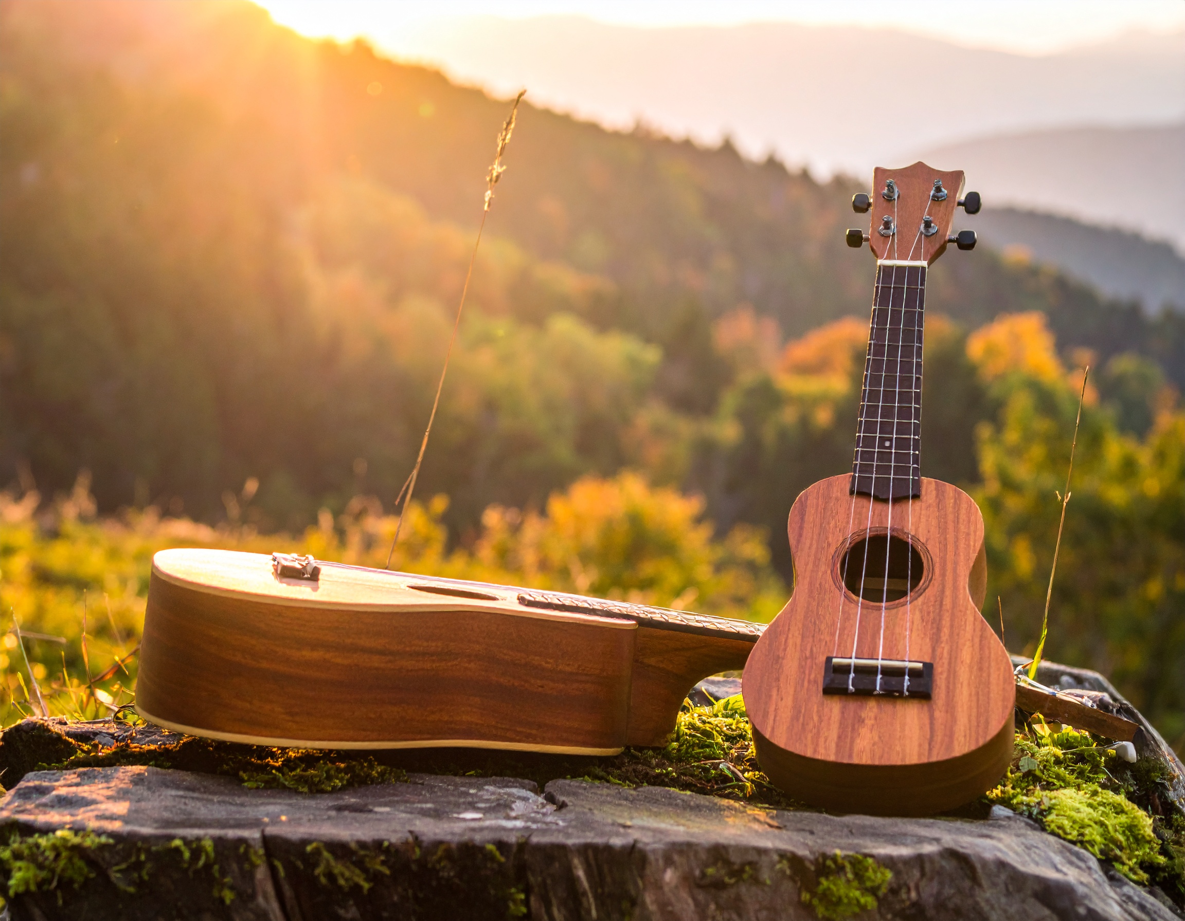 Ukuleles